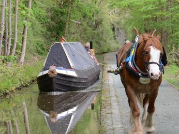 NHS-UK 2013 Photo Comp entry: Bob Jervis - Shroppie fly-boat SATURN horsedrawn on the Llangollen Canal