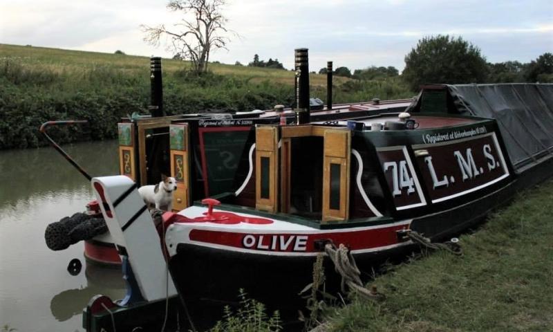 Olive moored