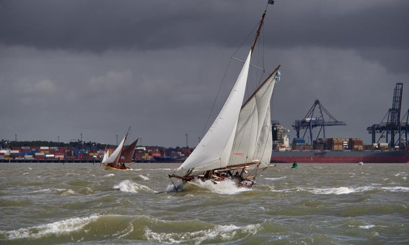 Photo Competition 2023 - Concord of Mersea - OGA East Coast Race by Sandy Miller