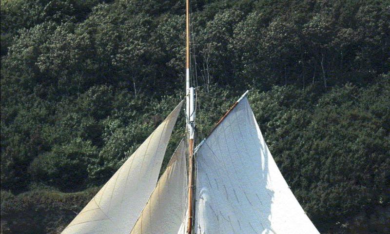 Lizzie May - under sail, port view