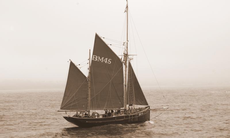Pilgrim - under sail