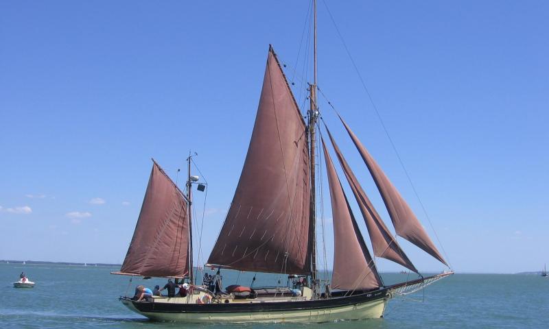 Speedwell in the Solent