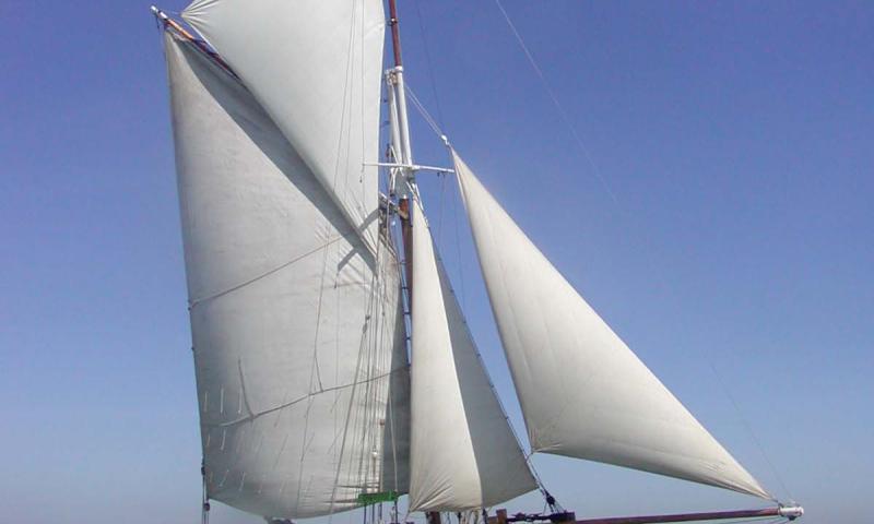 Saxonia under sail