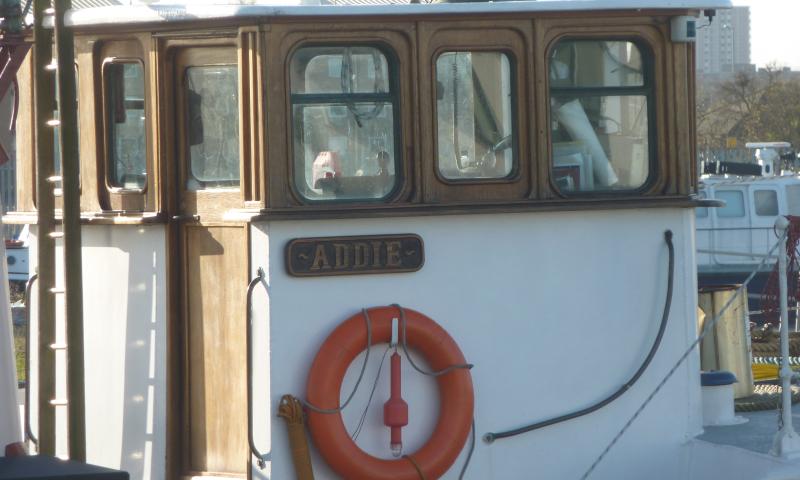 Addie - at Great Eastern Quay