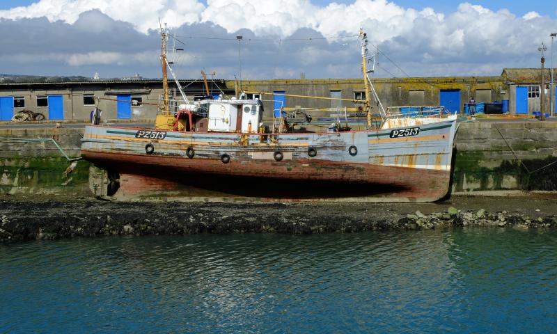 In Newlyn Harbour