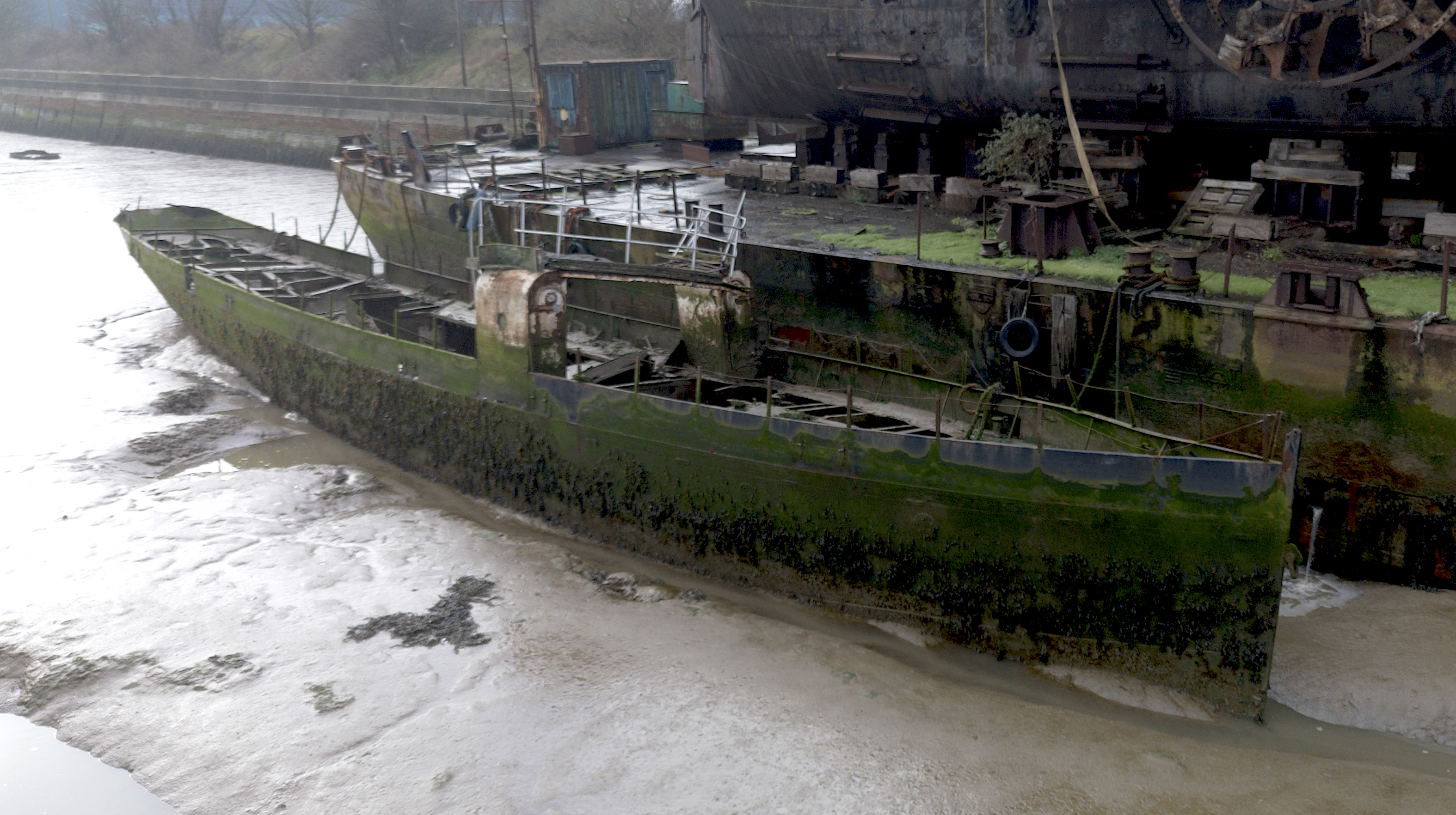 Vigilant January 2026