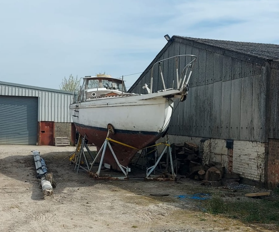 Nepenthe on her craddle in Suffolk, 2026