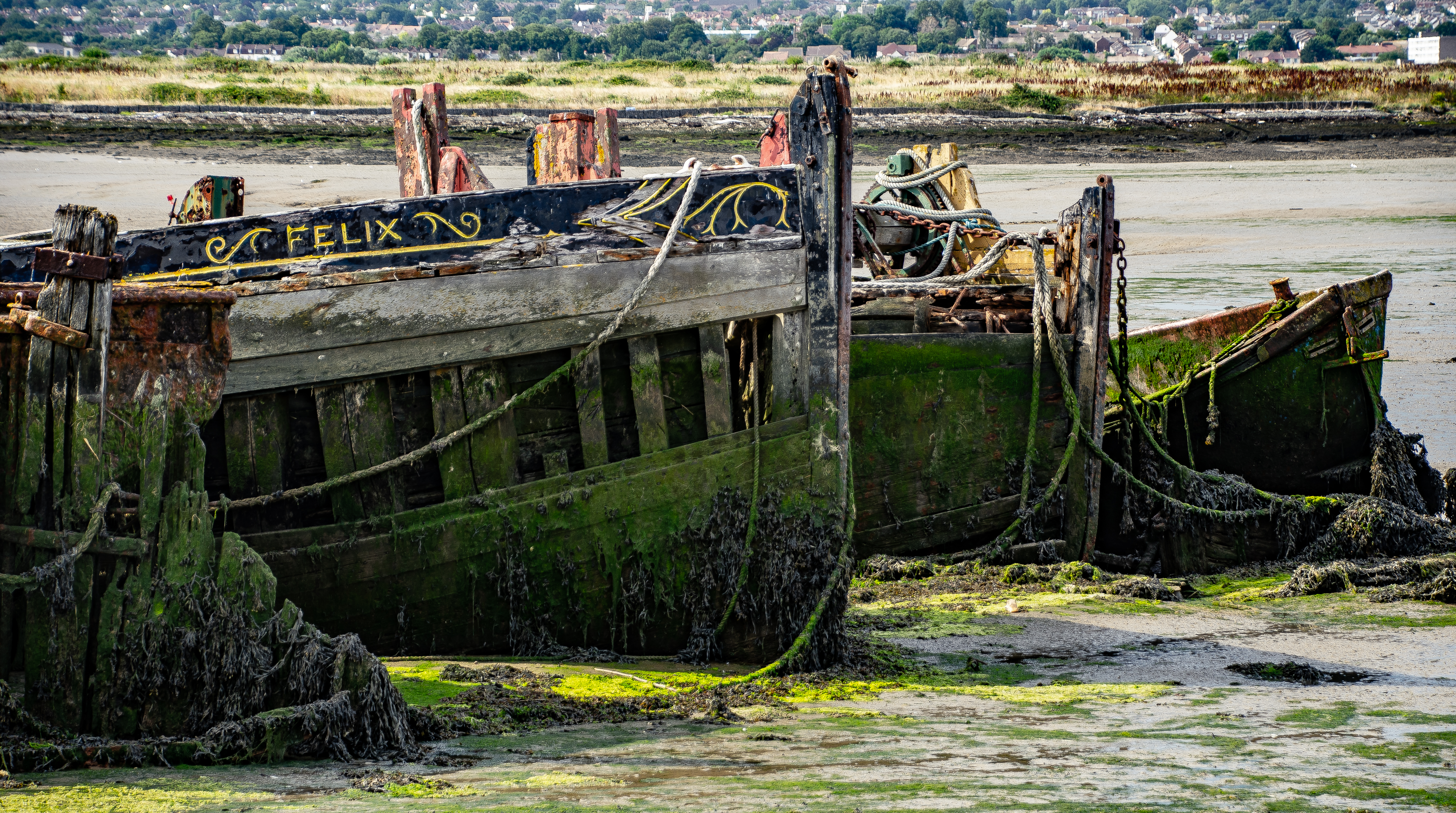 November 2020 Calendar image - Rotten Row - Felix and friends abandoned in the Medway mud by David Stearne