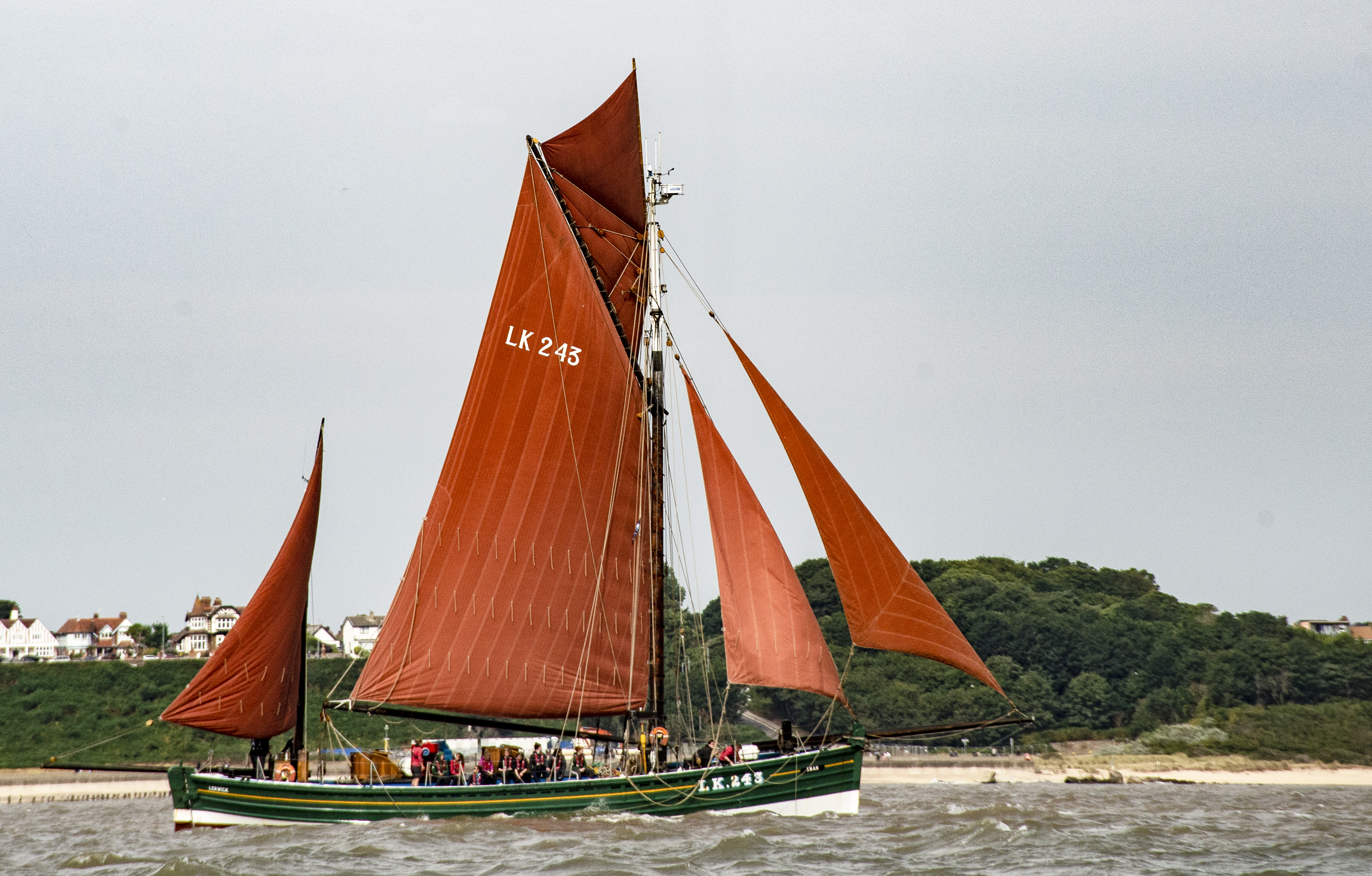 Swan taking part in the Lowestoft Smack Race, August 2022. Photo by David Collins