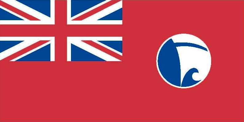 UK NHS Ensign