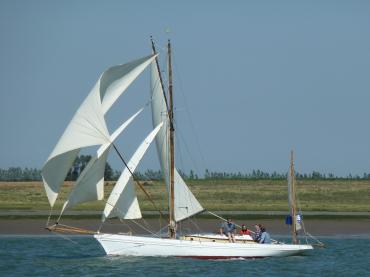 Bonita - in Swale Race
