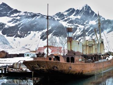 Viola in port at South Georgia