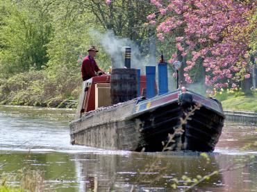 Clematis on the Shropshire Union Canal - 2022 Photo Comp entry