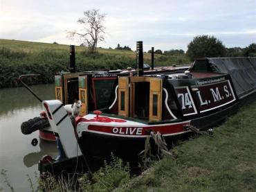 Olive moored