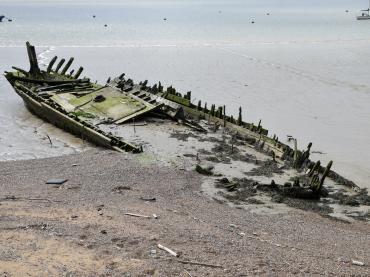 LV 38 March 2024 by Fraser Gray