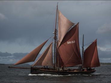 Deodar sailing in an autumn race