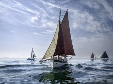 Primrose - A Blue Blackwater Morning (2024 Photo Comp)