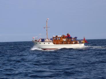 Mimosa sailing