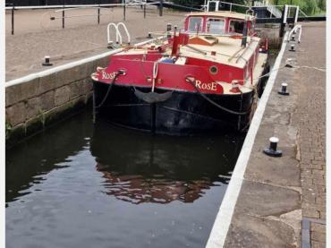 Rose in canal lock