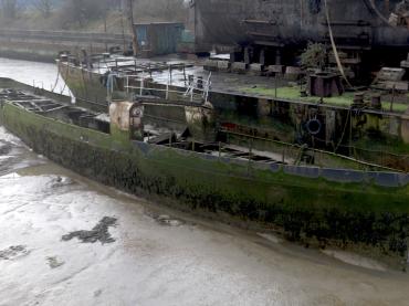 Vigilant January 2026