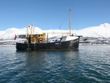 Comrades at sea