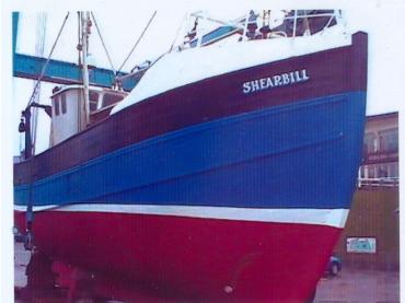 Shearbill out the water - bow view