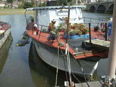 Sungo - bow shot