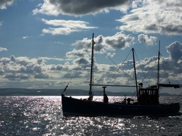 Rachel Douglas - Rachel Douglas (2296) off the Berwickshire coast 15/8/11 - Photo Comp 2011 entry