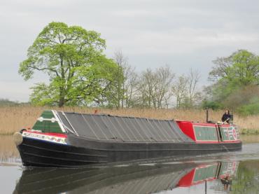 Warbler - in Tixall, Staffordshire, April 2011