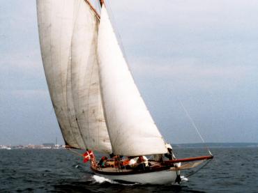Whimbrel - before restoration