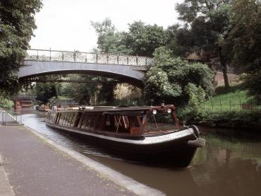 Lapwing on the canal