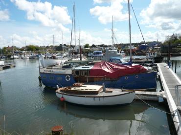 Monarch in Outlon Broad