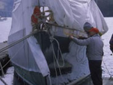 HOSHI - bow facing 96/3/7/3