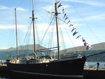 ARCTIC PENGUIN at Inverrary