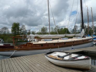 White Moth in Horning