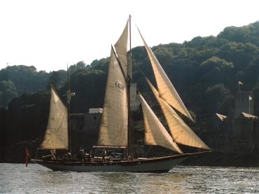 Airy mouse - sailing in Fowey