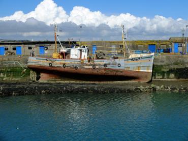 In Newlyn Harbour