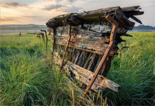 Photo by Mark Wardle