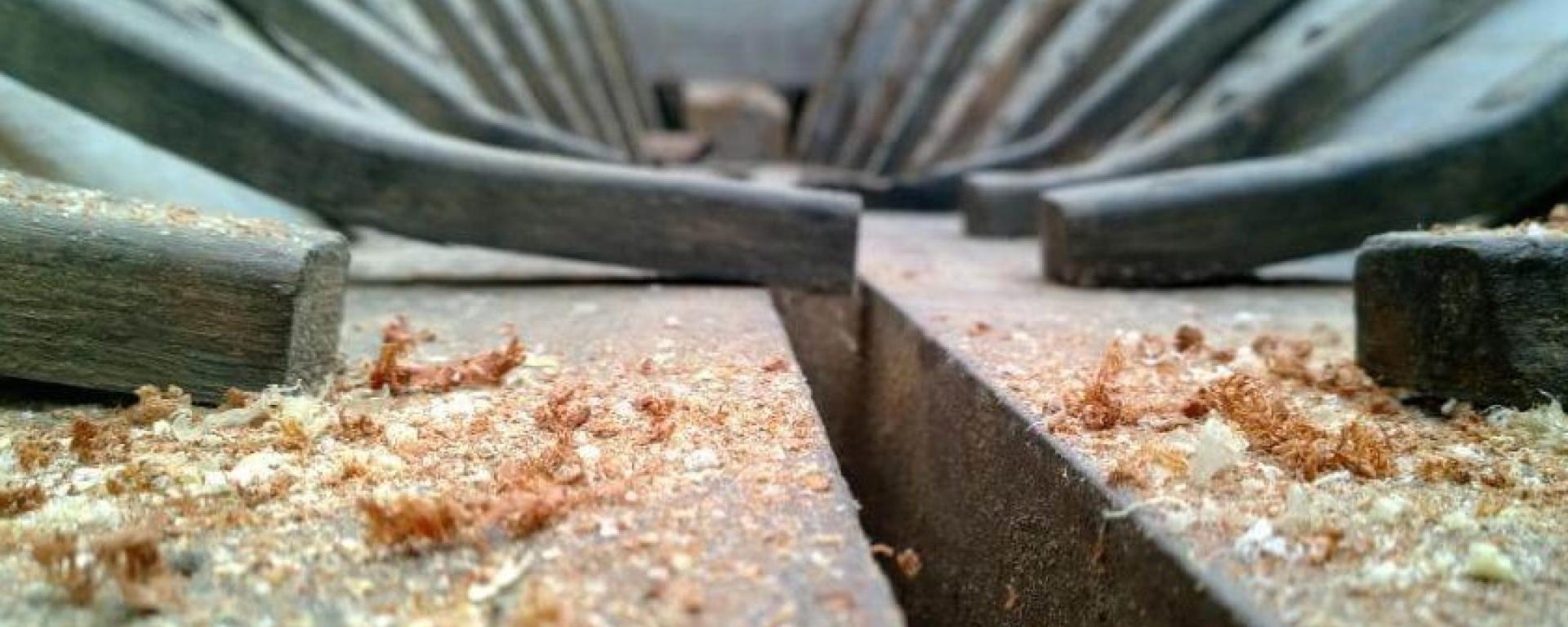 Shavings by C Leverett