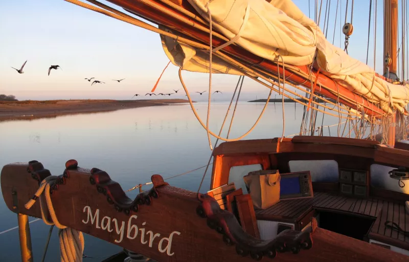 Morning view of Maybird