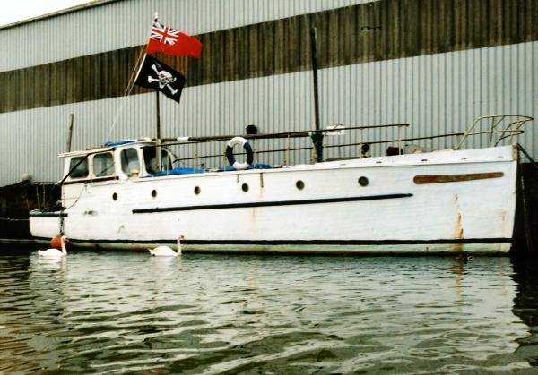 Anaurus and two swans 2016