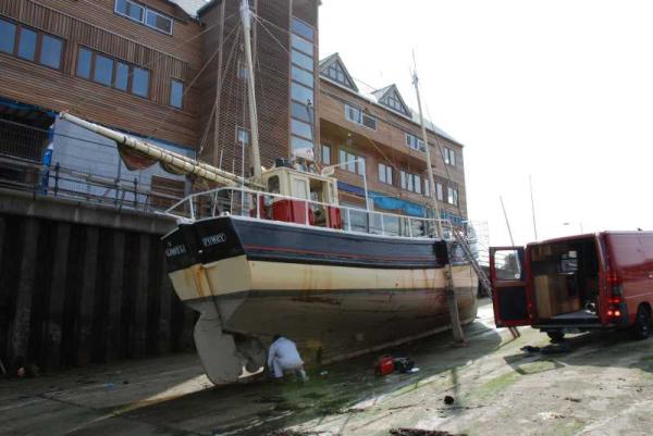 Lindy Lou - out of the water