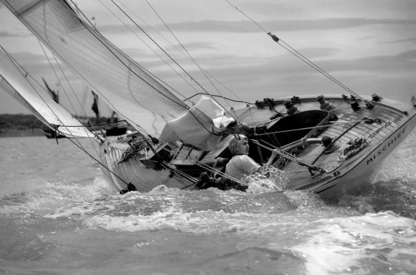 Photo Comp 2018 entry - Mischief of Maldon, by Bob Aylott