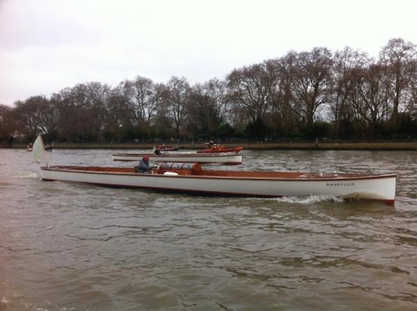 Amaryllis - on the water