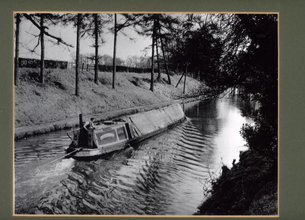 Dragon - archive photo