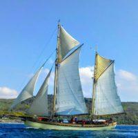 Maybe - under sail