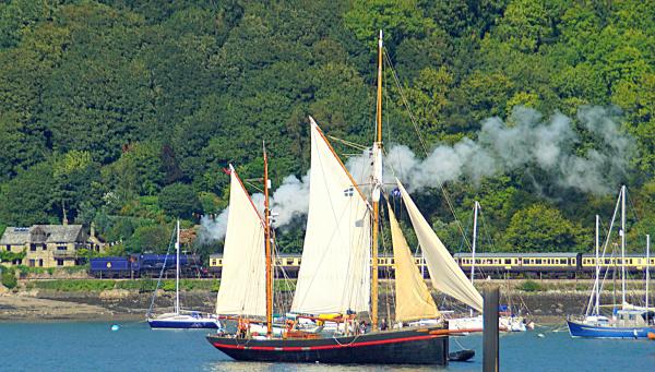 Leader at sail b 2019