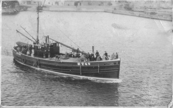 Manx Beauty black and white