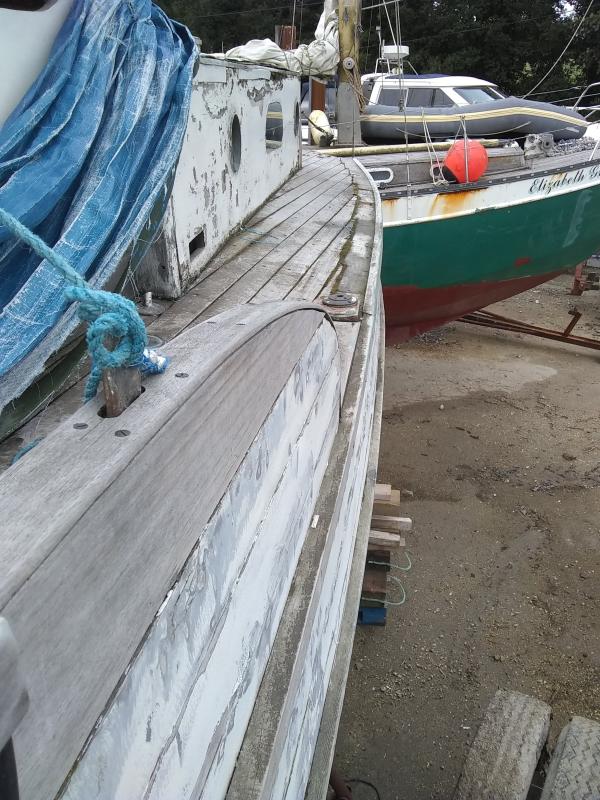 Token exterior August 2020