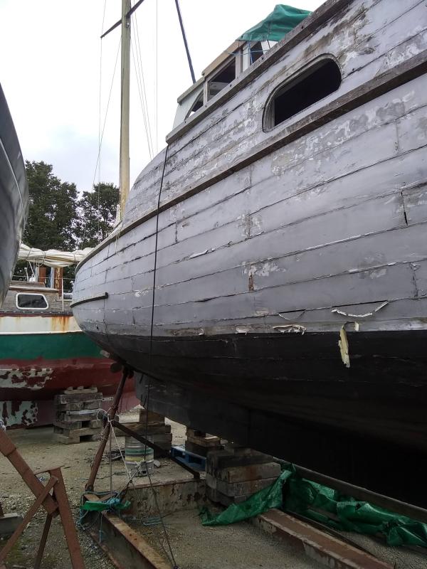 Token exterior August 2020